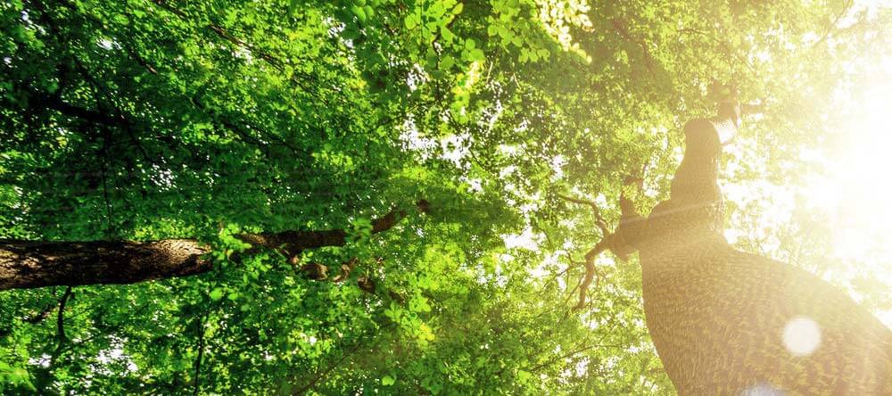 Green Building - BAUM