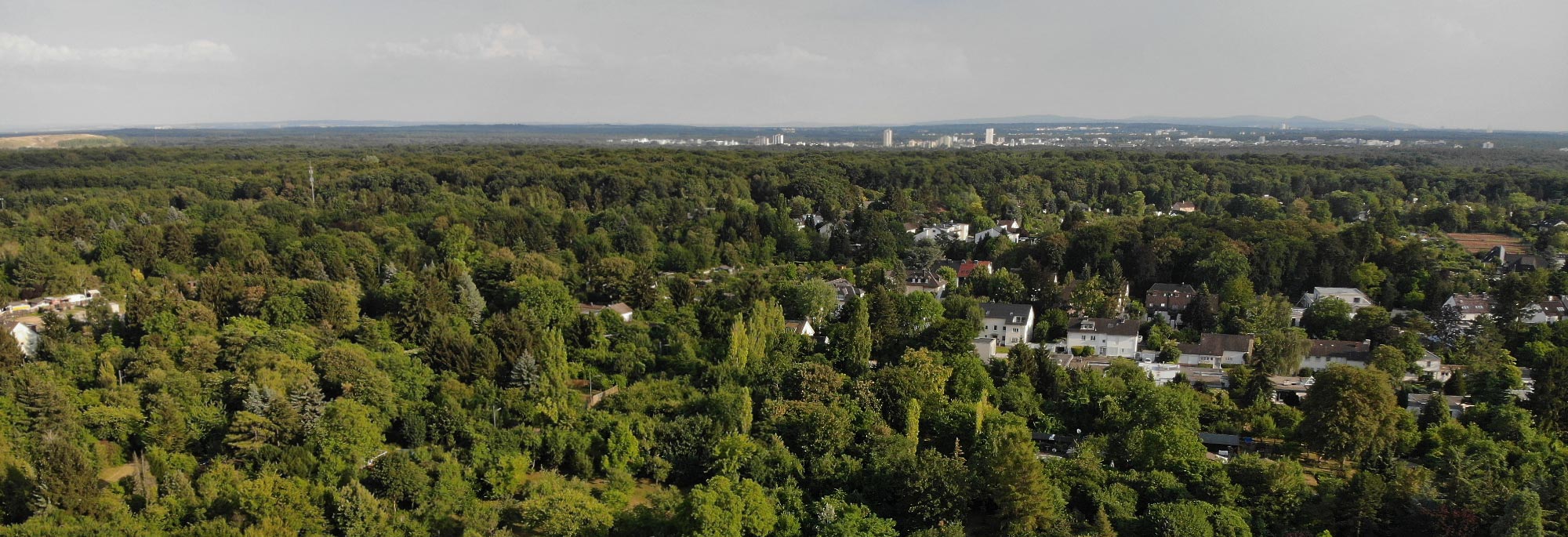 Frankfurt Green Belt - forest around the financial city
