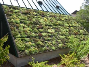 esg-sustainability-green-facade-sustainable-real-estate