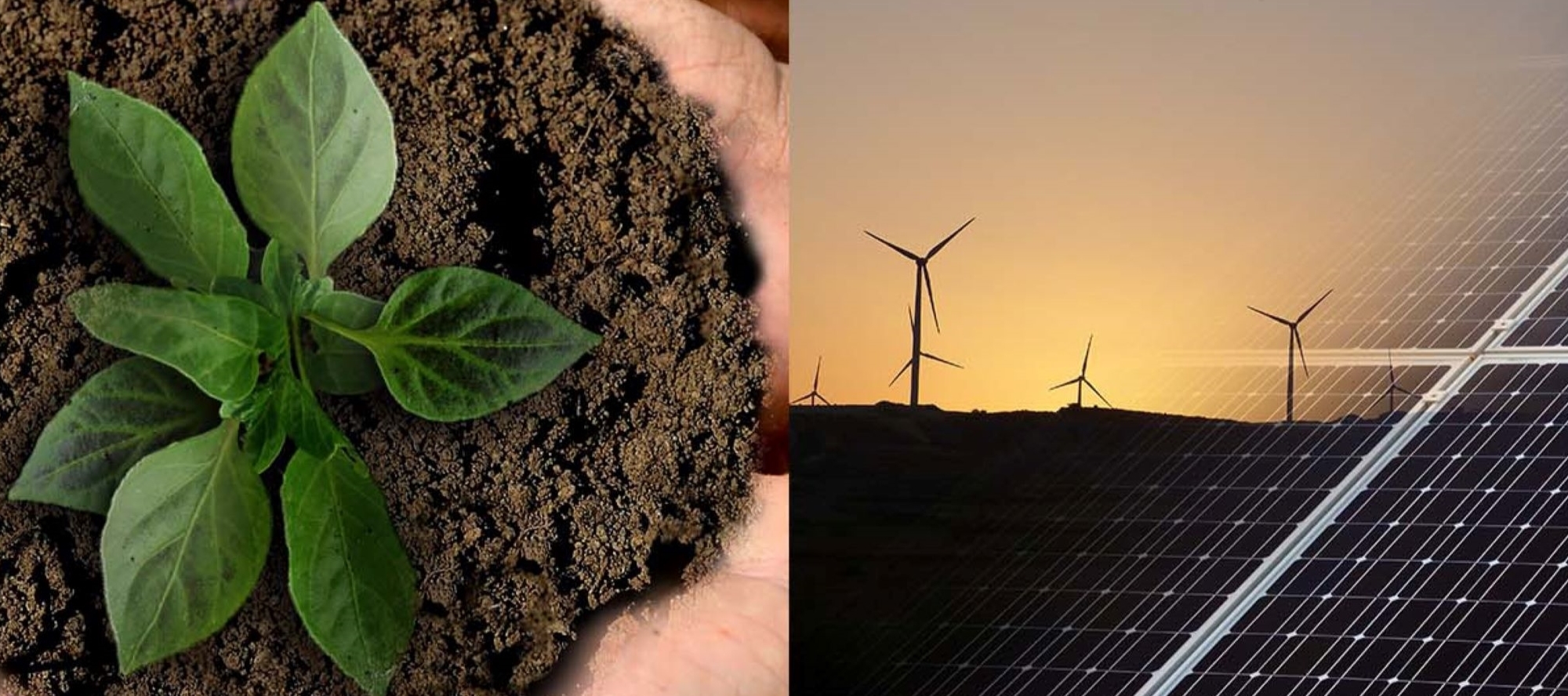 ESG - sustainability - building industry - digital management - resource saving