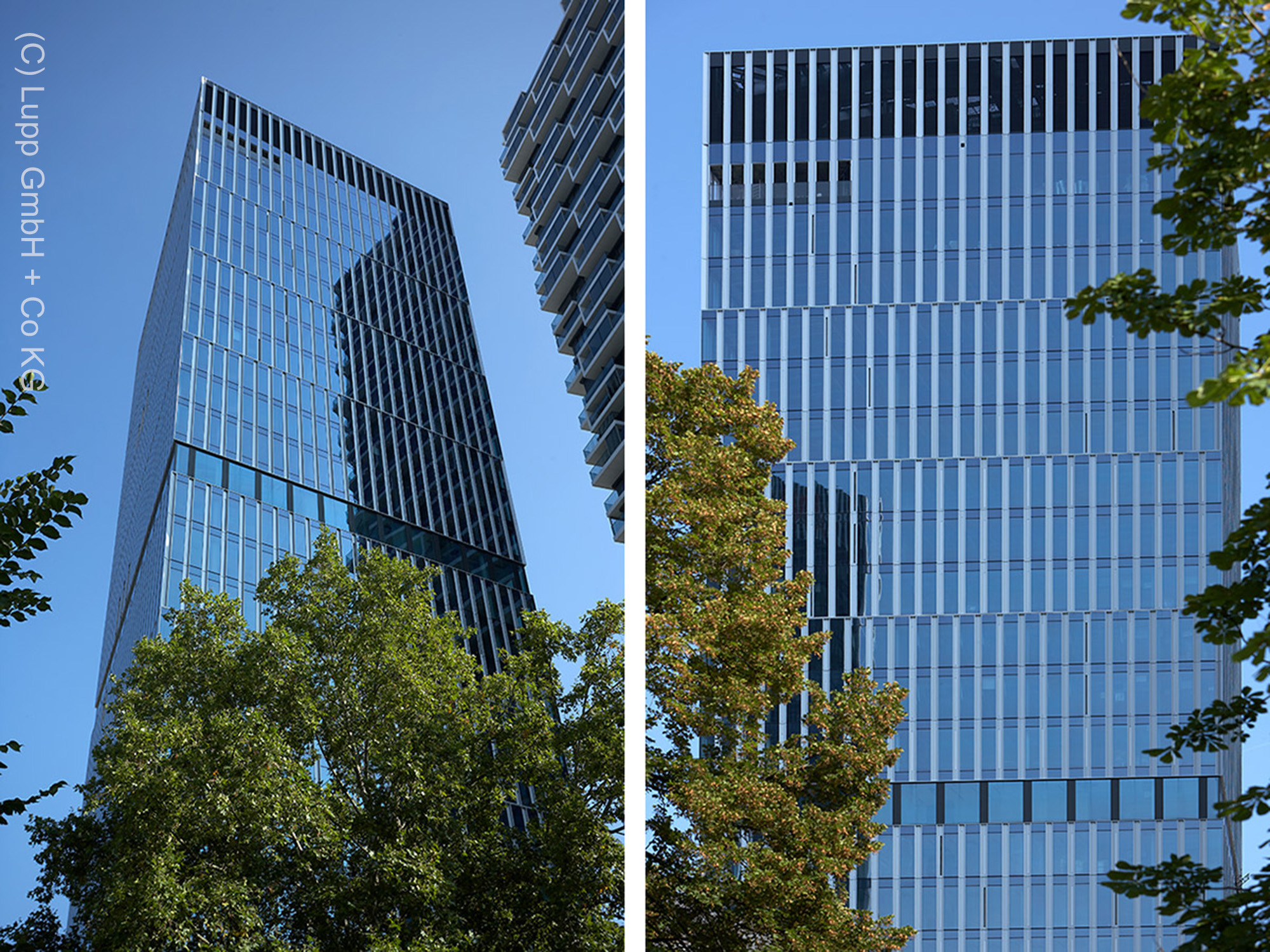 Seckenbergturm-99west-kulturcampus-bockenheim Seckenbergturm-99west-kulturcampus-bockenheim