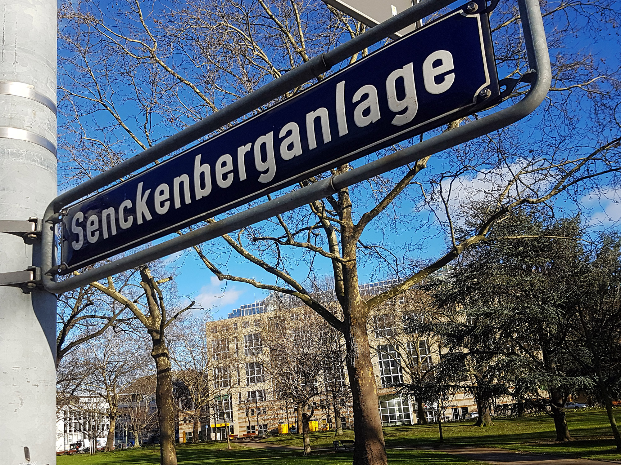 Senckenberganlage in Frankfurt, Germany - street sign